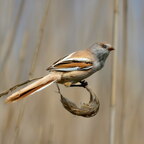 bb3248ee-68aa-4b9e-b162-ac30628b7fca